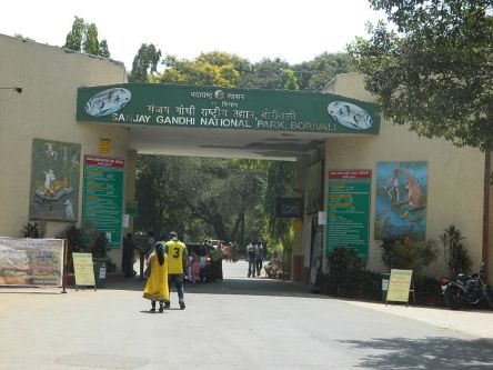Sanjay Gandhi National Park Mumbai